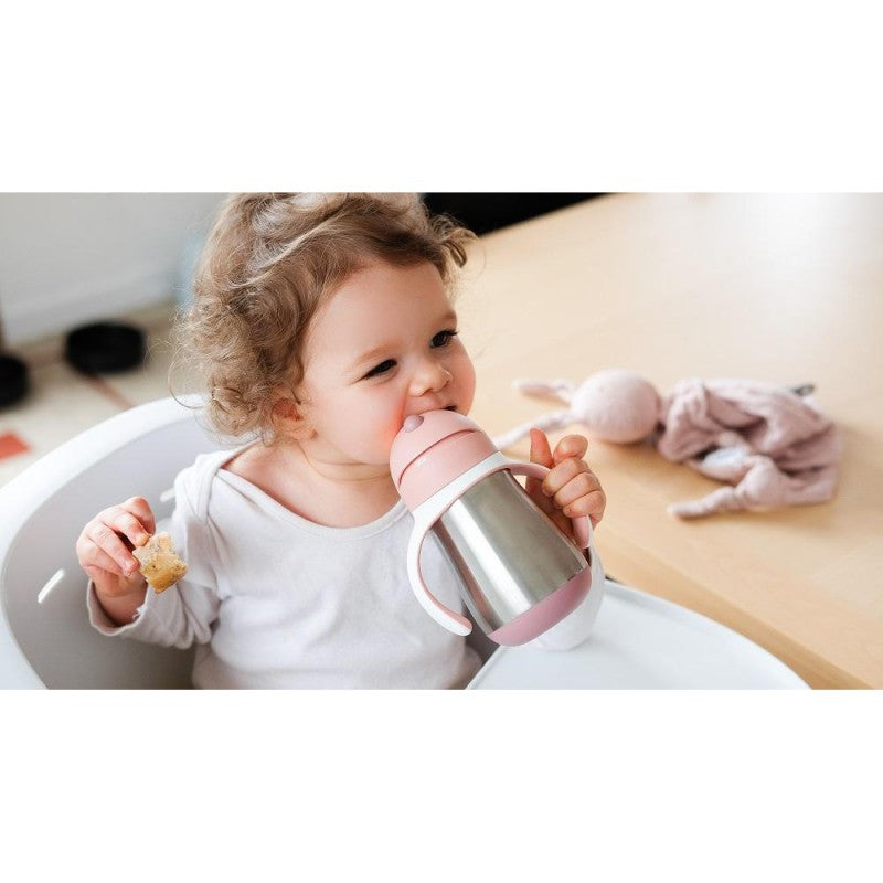 Stainless Steel Sippy Cup