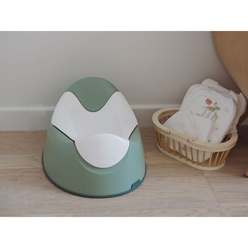 Training Potty