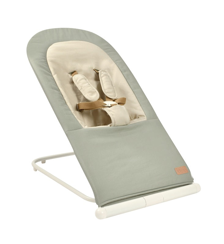 Easy Relax Foldable Bouncer - Seagrass