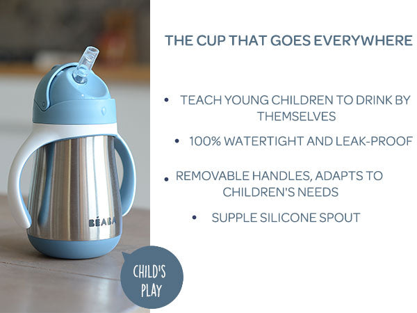 Stainless Steel Sippy Cup