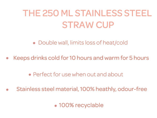 Stainless Steel Sippy Cup