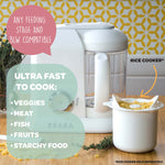 Babycook Solo Baby Food Maker - Clay